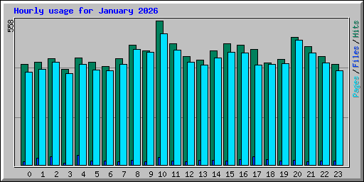 Hourly usage for January 2026